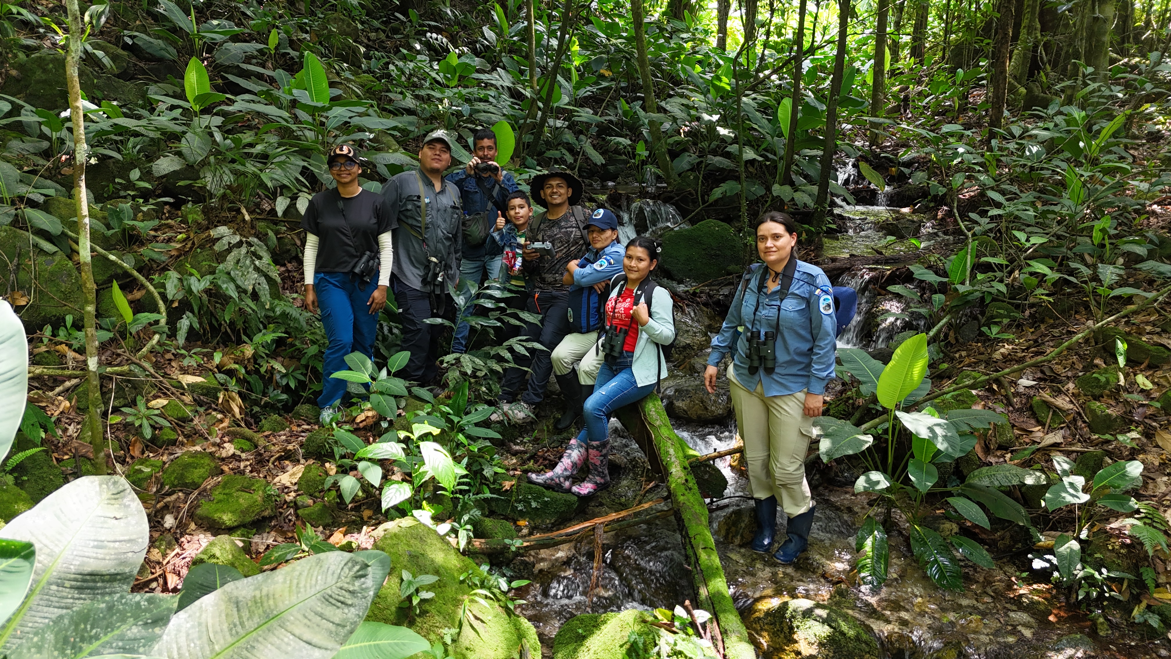 Ruta Cafetera Altamira
